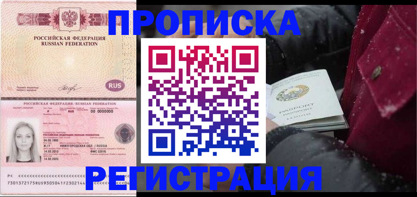 прописка для школы в Курчалом